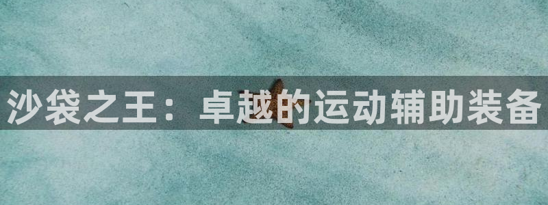 南宫大舞台官方正版app科技：沙袋之王：卓越的运动辅