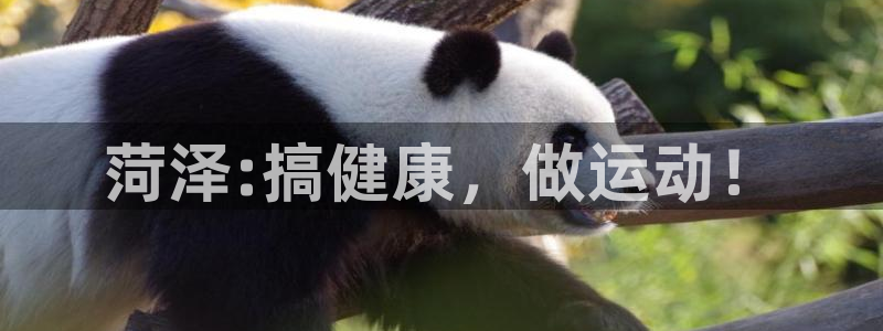 南宫大舞台官网下载招商电话是多少啊：菏泽:搞健康，做运动！