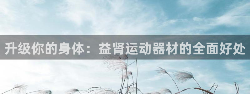 南宫大舞台官网下载招商电话地址：升级你的身体：益肾运动器材的