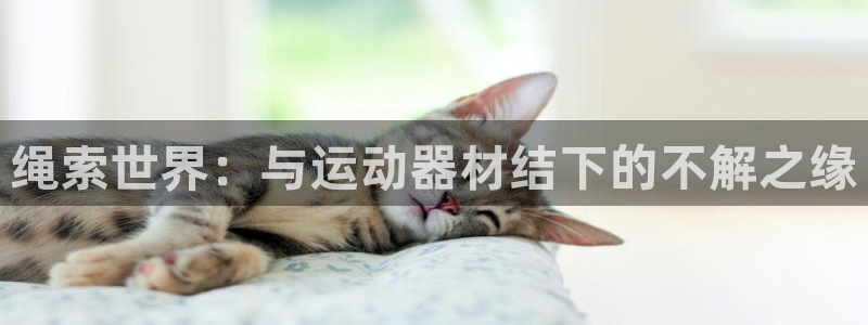 南宫大舞台官网下载招商电话号码查询是多少：绳索世界：与运动器