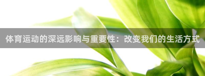 3377体育官网