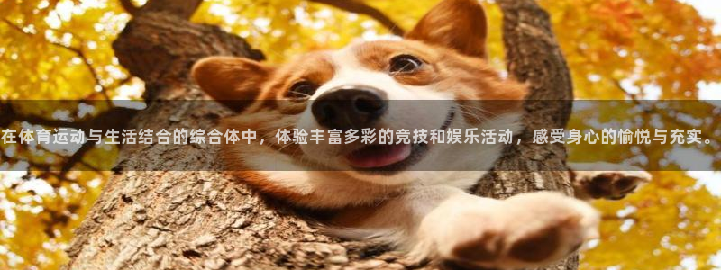 3377体育中国官方网站入口