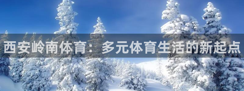 3377体育中国官方网站入口