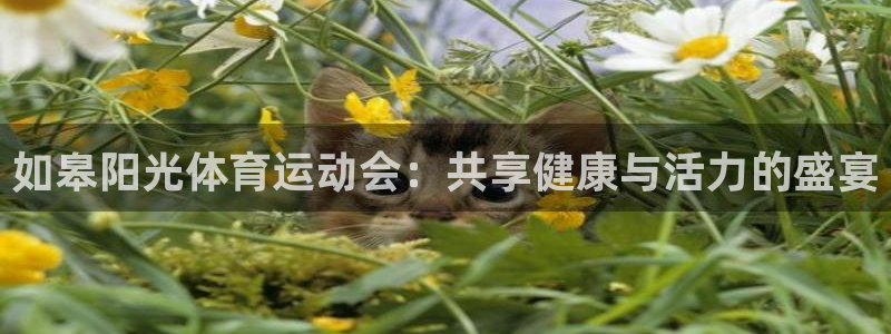 3377体育app登录入口