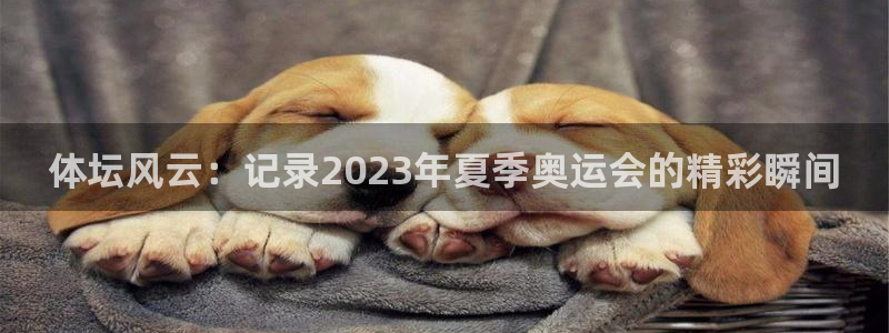 3377体育app官方下载