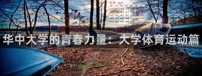 3377体育是正规的吗