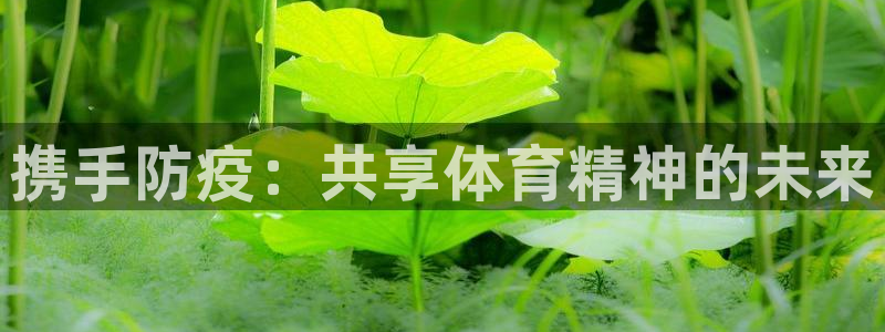 3377体育在线