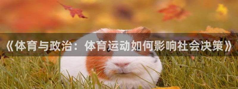 3377体育是正规平台吗