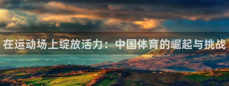 3377体育官网入口网页版
