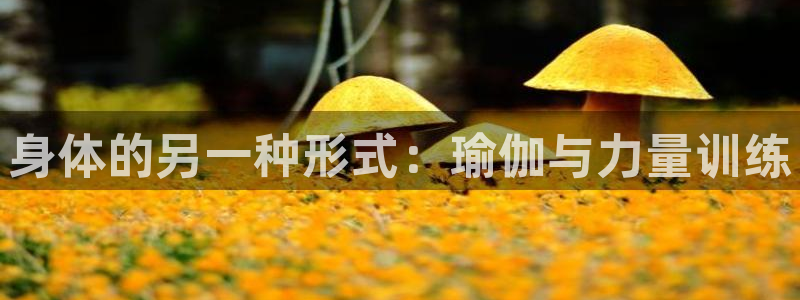 3377体育是正规的吗