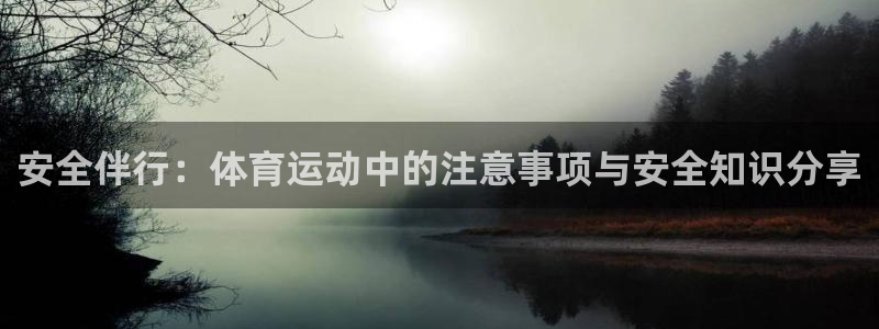 3377体育全网