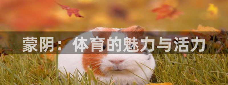 3377体育app官网下载地址