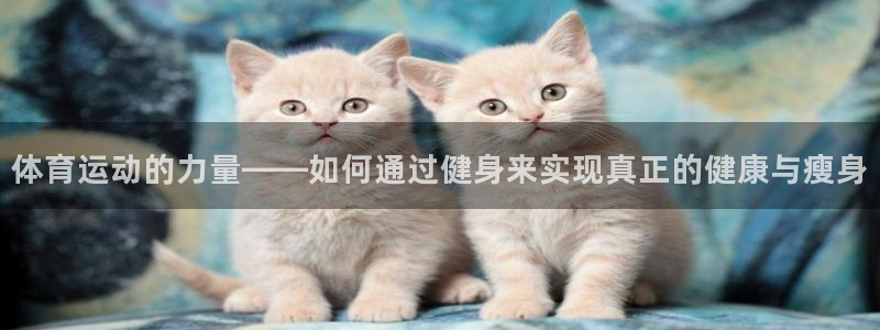 3377体育app登录入口