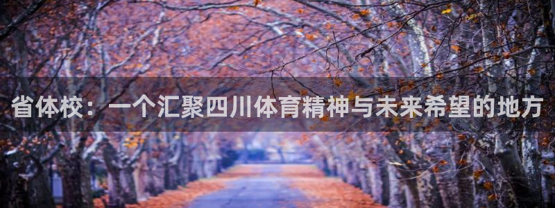 3377体育app官方下载