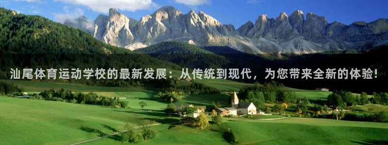 3377体育官网入口网页版