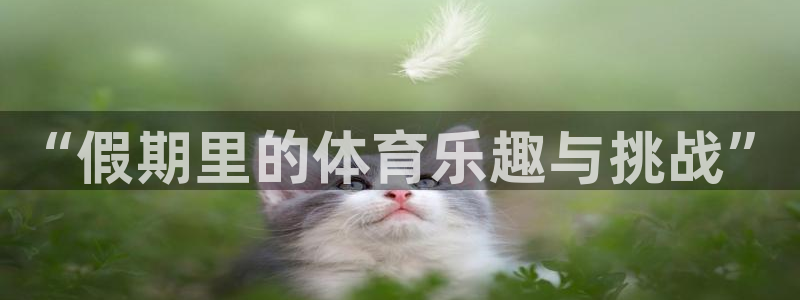 3377体育官网入口下载最新