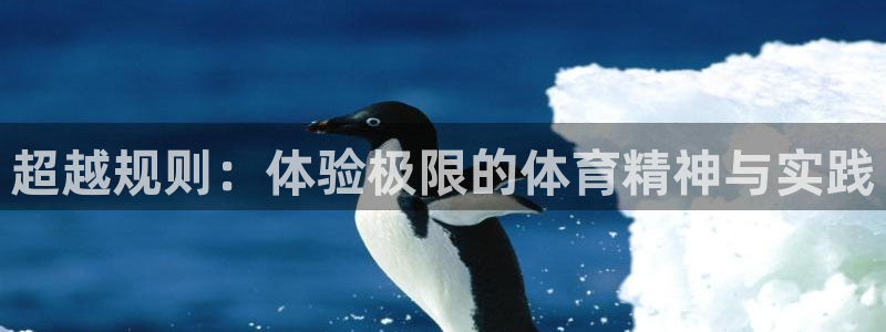 3377体育官网入口下载最新