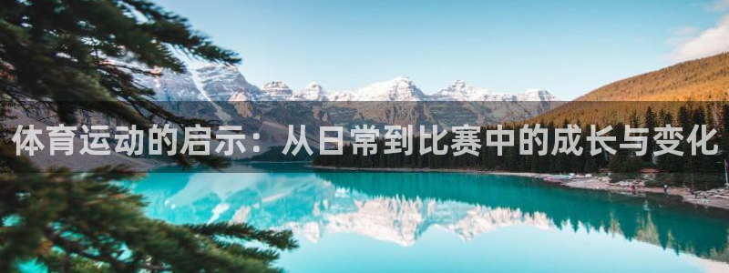 3377体育网页登录入口